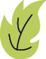 leaf-icon